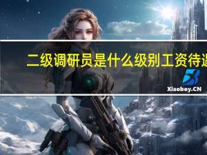 二级调研员是什么级别工资待遇（二级调研员是什么级别）