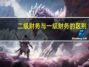 二级财务与一级财务的区别