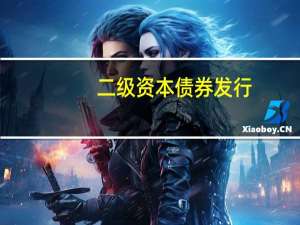 二级资本债券发行（二级资本债券什么意思）