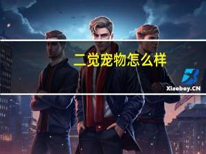 二觉宠物怎么样