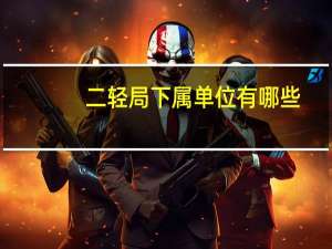 二轻局下属单位有哪些