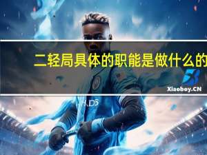 二轻局具体的职能是做什么的