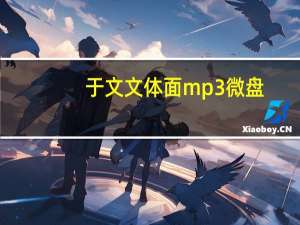 于文文体面mp3微盘（于文文体面mp3微盘）