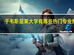 于韦斯屈莱大学有哪些热门专业推荐