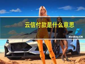 云信付款是什么意思（云信付款是什么意思）