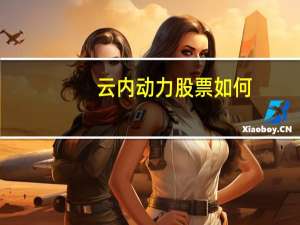云内动力股票如何