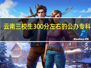 云南三校生300分左右的公办专科大学