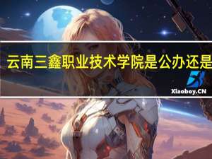 云南三鑫职业技术学院是公办还是民办