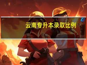 云南专升本录取比例