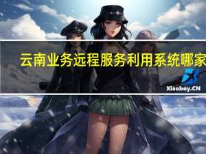 云南业务远程服务利用系统哪家好