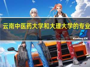 云南中医药大学和大理大学的专业对比