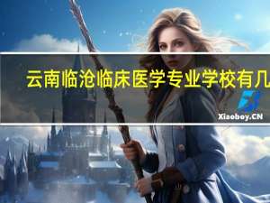云南临沧临床医学专业学校有几所