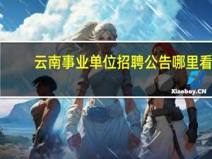 云南事业单位招聘公告哪里看