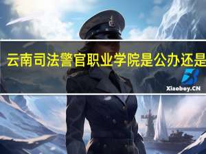 云南司法警官职业学院是公办还是民办