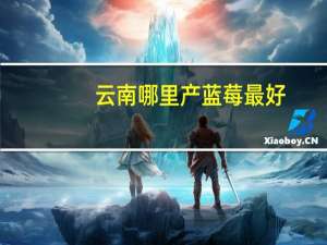 云南哪里产蓝莓最好