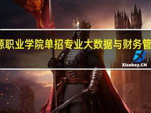 云南国土资源职业学院单招专业大数据与财务管理主要是做什么的