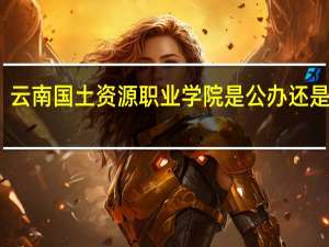 云南国土资源职业学院是公办还是民办