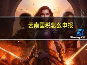 云南国税怎么申报