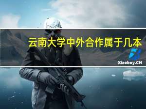 云南大学中外合作属于几本