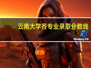 云南大学各专业录取分数线