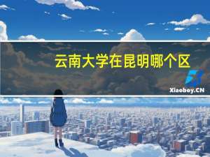 云南大学在昆明哪个区
