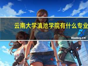 云南大学滇池学院有什么专业