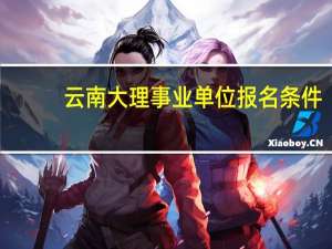云南大理事业单位报名条件