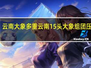 云南大象多重 云南15头大象组团压马路