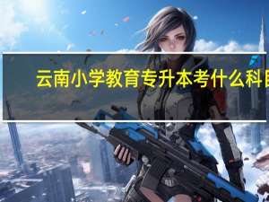 云南小学教育专升本考什么科目