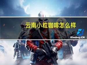 云南小粒咖啡怎么样