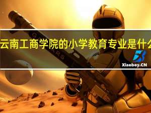 云南工商学院的小学教育专业是什么院系