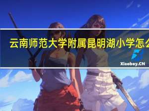 云南师范大学附属昆明湖小学怎么样