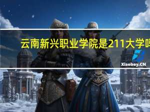云南新兴职业学院是211大学吗