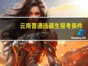 云南普通选调生报考条件