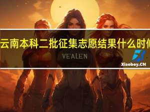 云南本科二批征集志愿结果什么时候查到