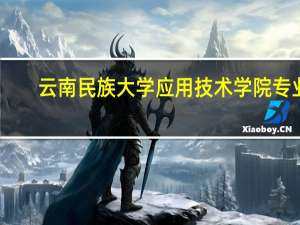 云南民族大学应用技术学院专业