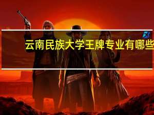 云南民族大学王牌专业有哪些