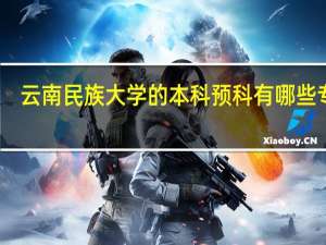 云南民族大学的本科预科有哪些专业