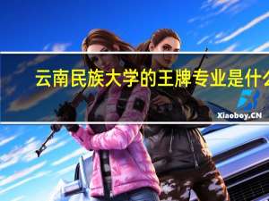 云南民族大学的王牌专业是什么