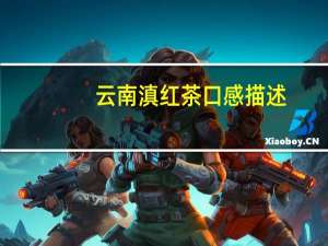 云南滇红茶口感描述