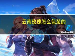云南玫瑰怎么包装的