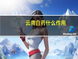 云南白药什么作用