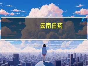 云南白药：中药业务对外增长迅速