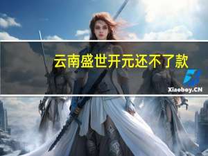 云南盛世开元还不了款（云南盛世开元投资管理有限公司简介）