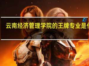 云南经济管理学院的王牌专业是什么