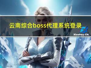 云南综合boss代理系统登录