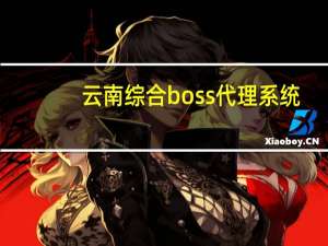云南综合boss代理系统
