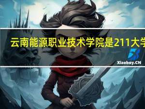 云南能源职业技术学院是211大学吗
