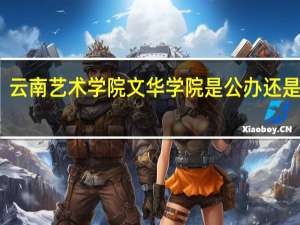 云南艺术学院文华学院是公办还是民办