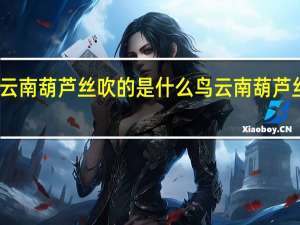 云南葫芦丝吹的是什么鸟 云南葫芦丝音乐